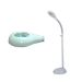 Cool Magnifying Lamp