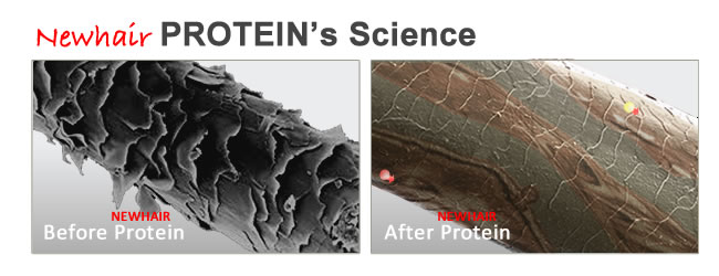 Brazilian Protein Science